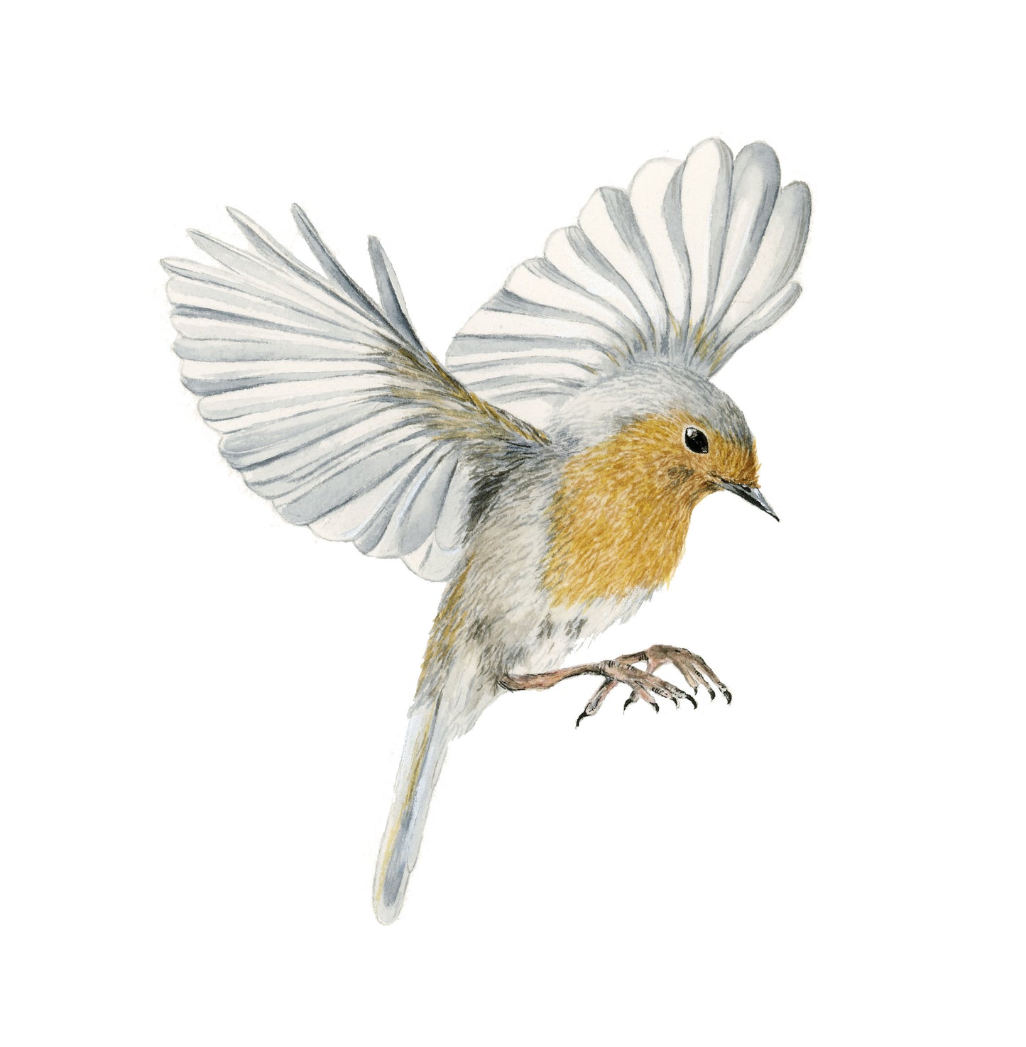 Flying bird - Watercolor Painting