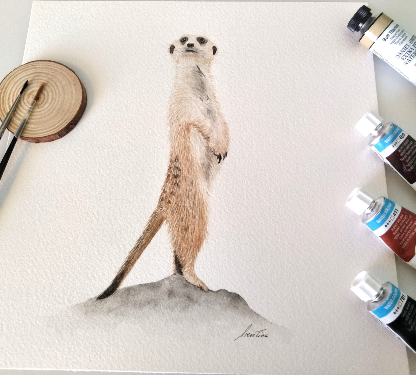 Suricate - Watercolor Wall Art