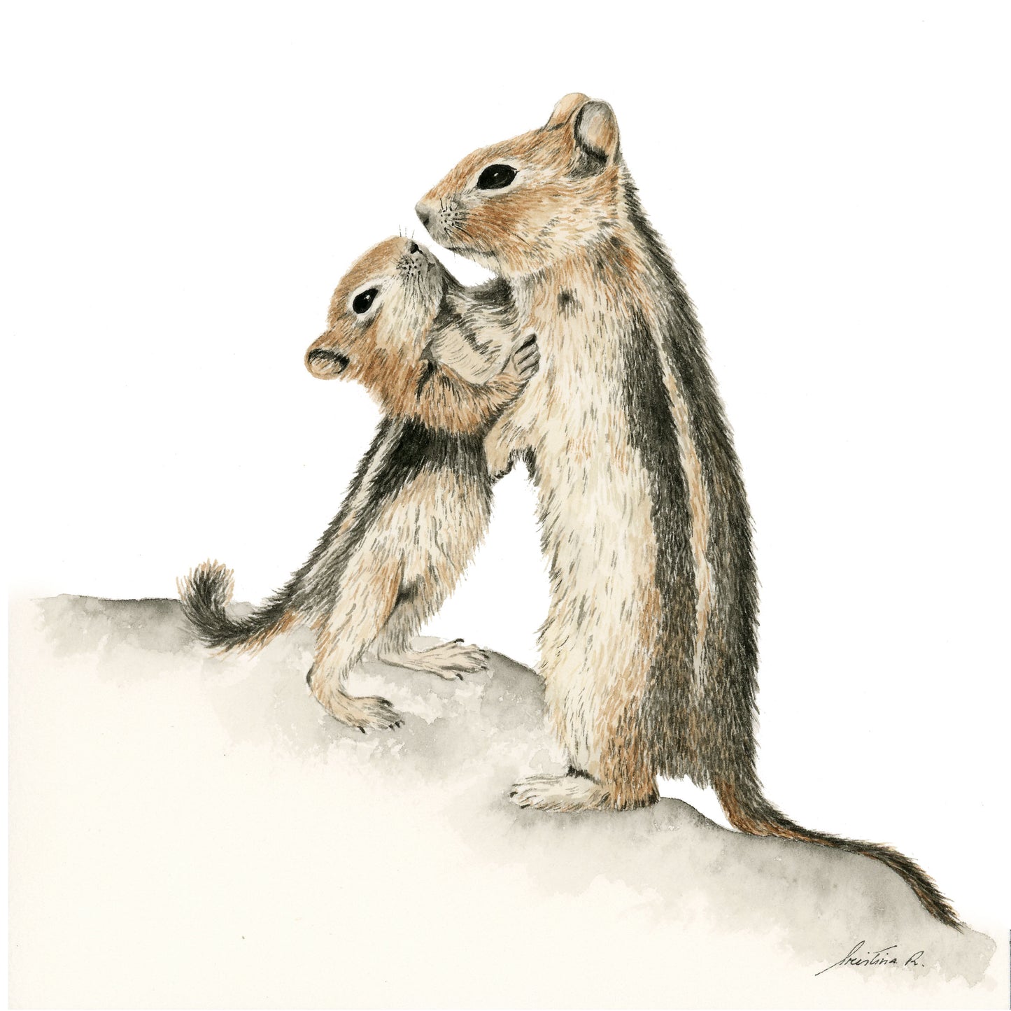 Mother and a baby squirrel - Watercolor Painting