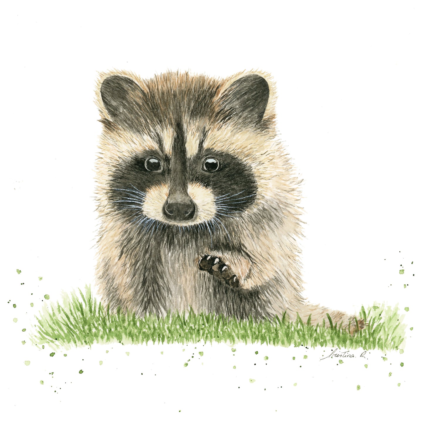 Baby Raccoon - Watercolor Wall Art