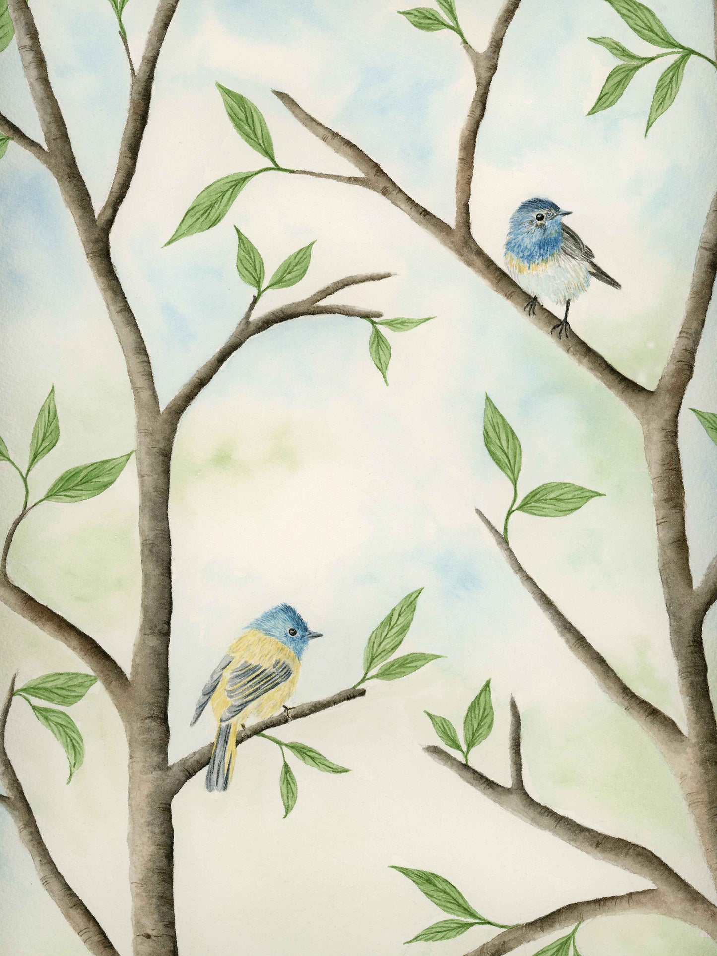Little Birds - Watercolor Wall Art