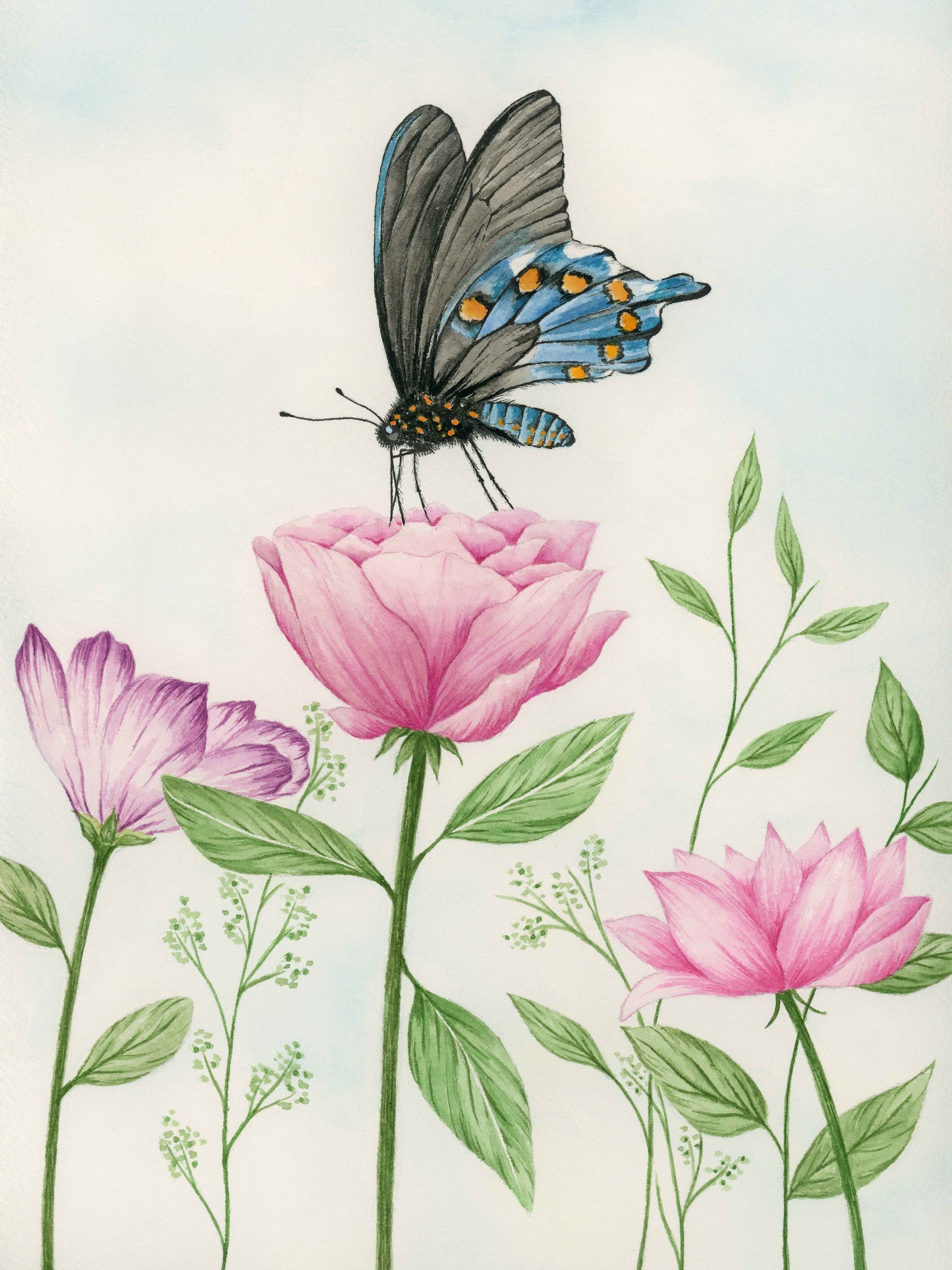 Blue Butterfly - Original Watercolor Wall Art