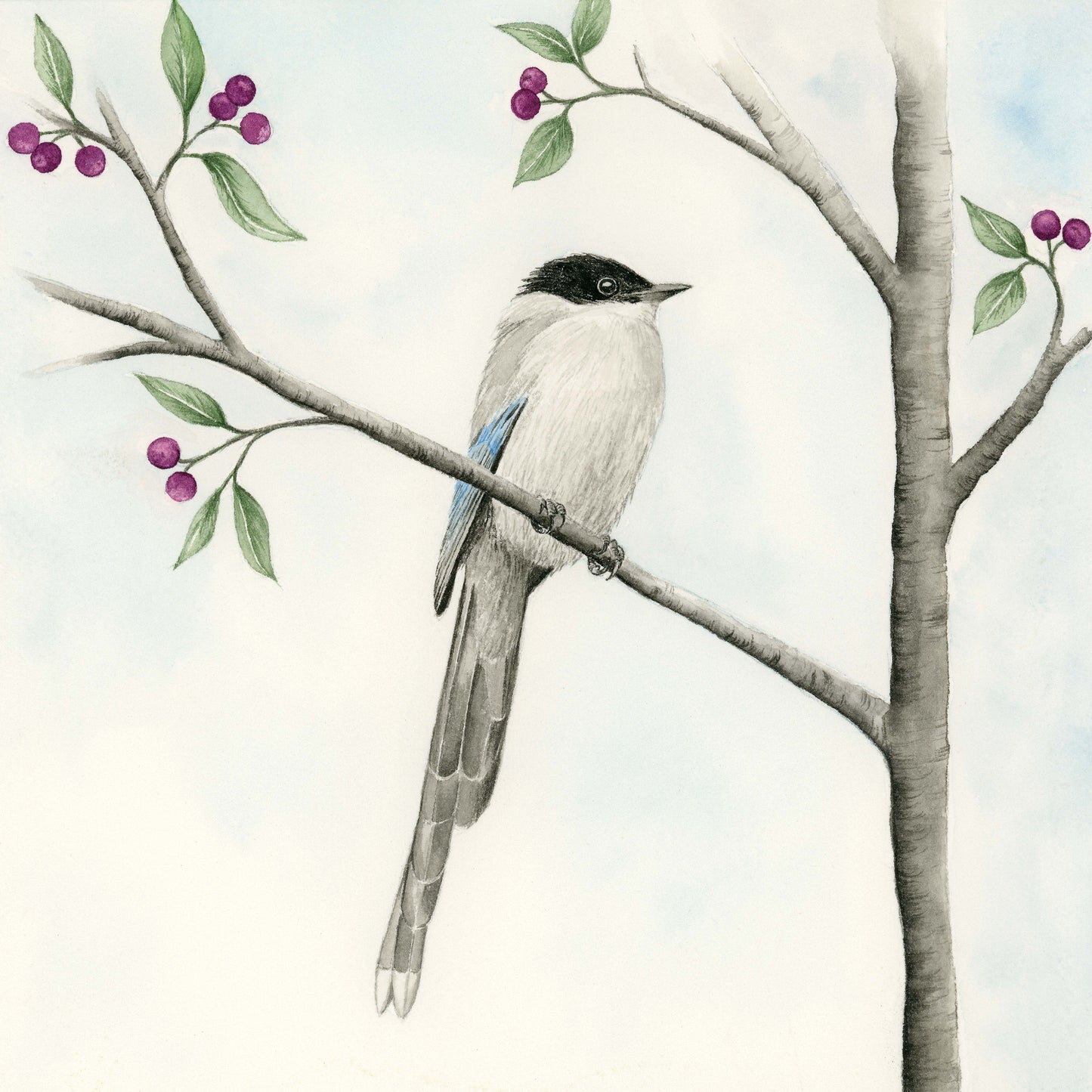 A little bird called Charneco - Watercolor Wall Art