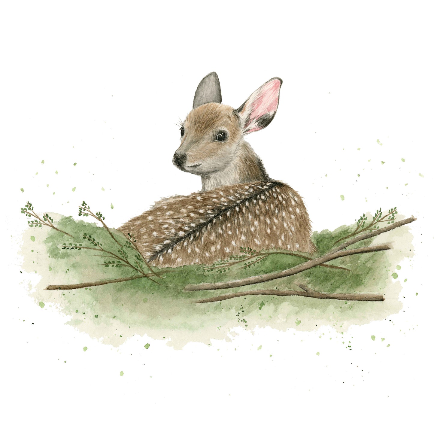 Baby Deer - Watercolor Wall Art